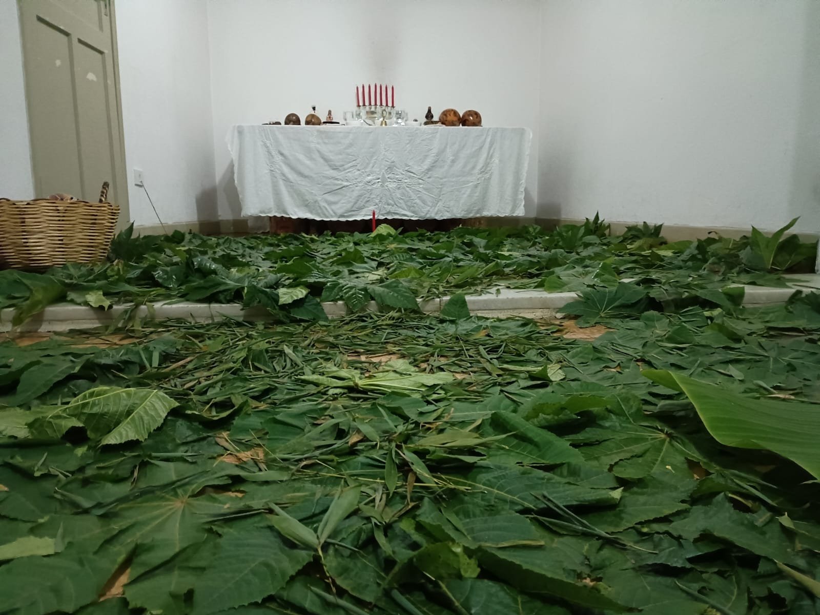 Sessão de Jurema Sagrada 8